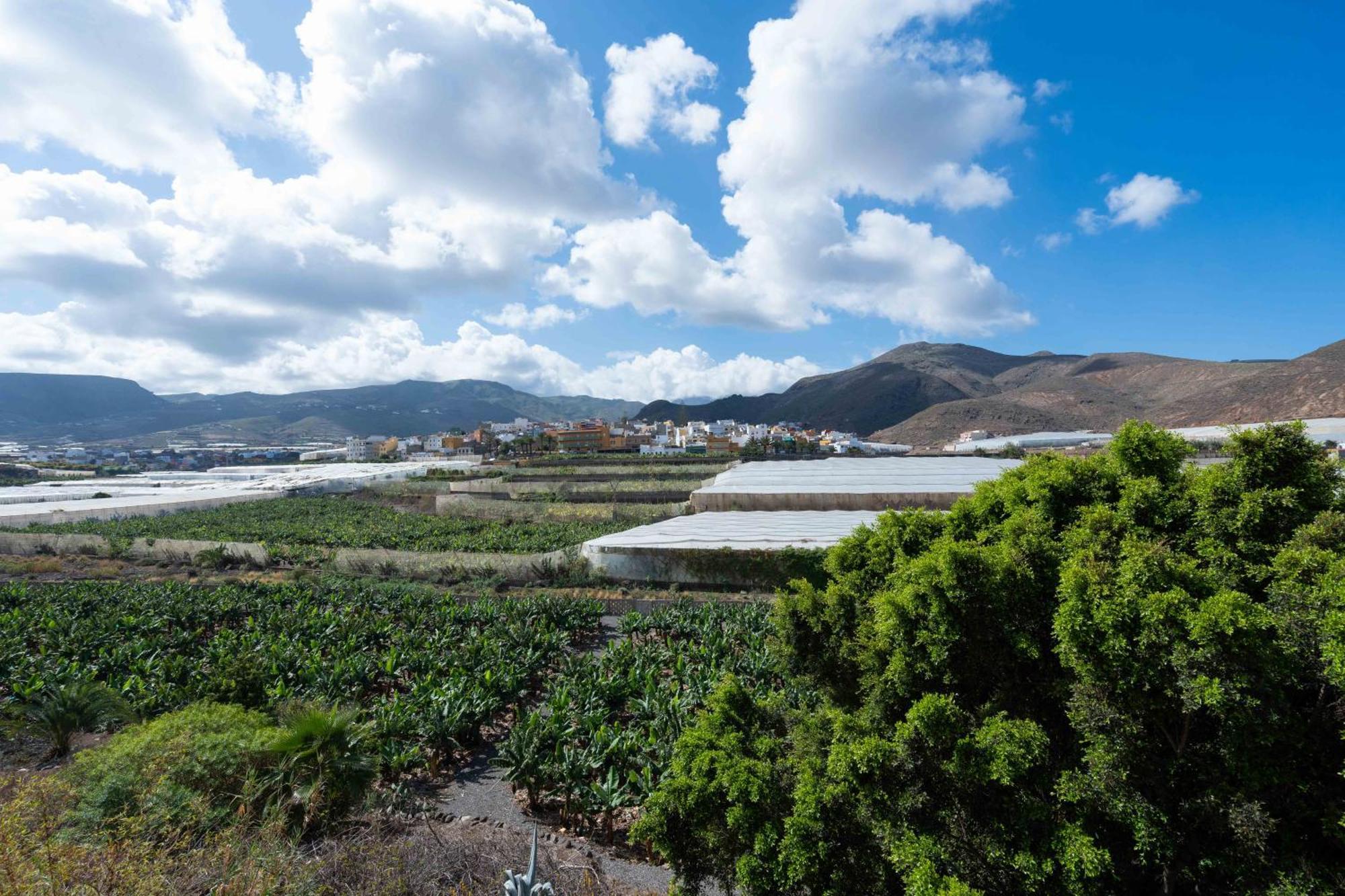 Las Fajanas De Galdar Las Palmas de Gran Canaria Exteriör bild