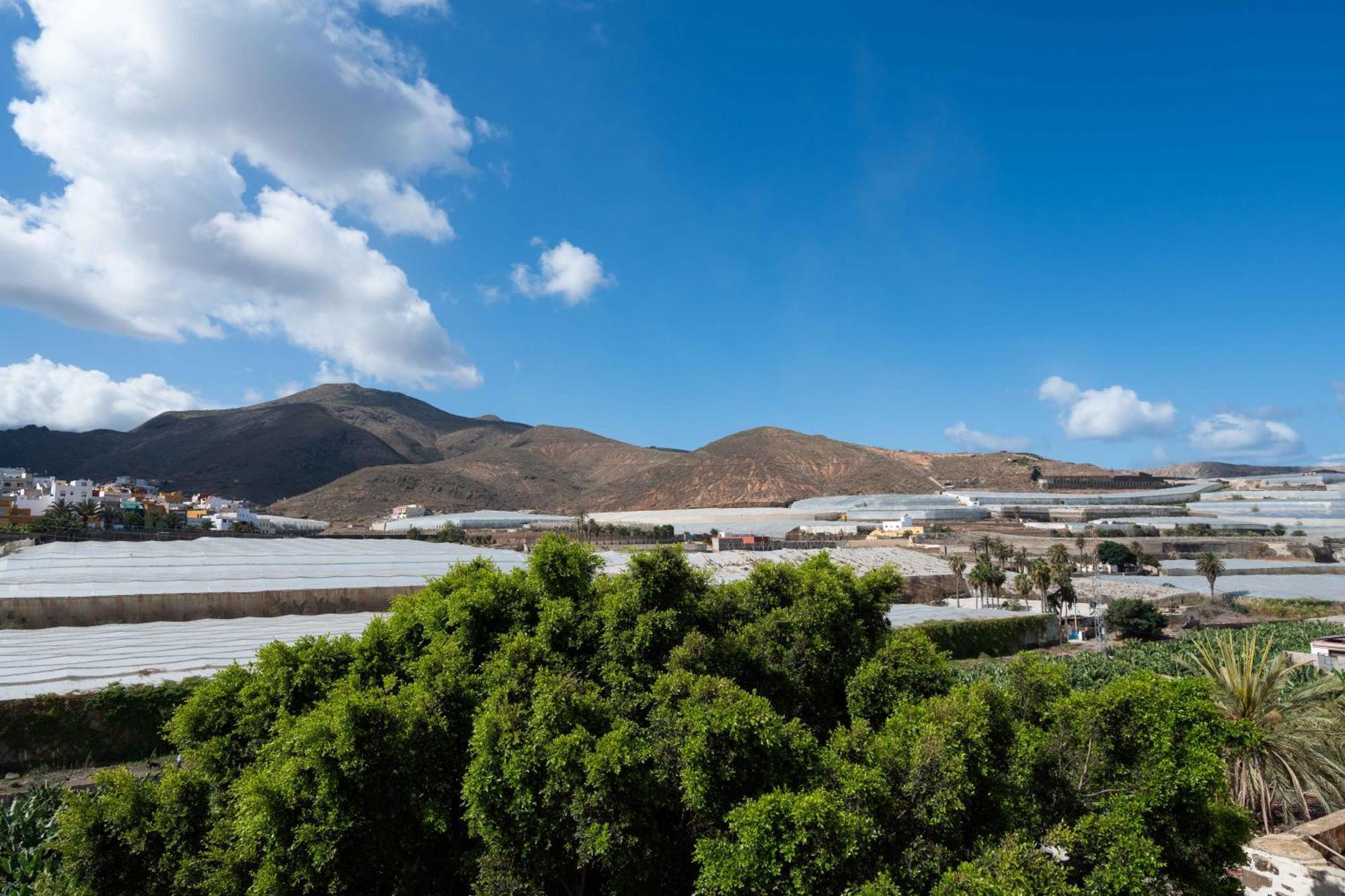 Las Fajanas De Galdar Las Palmas de Gran Canaria Exteriör bild